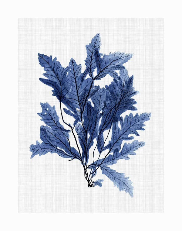 The Aruba Sea Unframed Art Print by Urban Road features a detailed blue leafy plant with layered, blue-toned leaves on a light textured background, evoking serene botanical vibes inspired by the hues of the Aruba Sea.