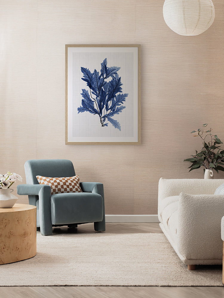 Aruba Sea Poster Framed Art Print | Lifestyle