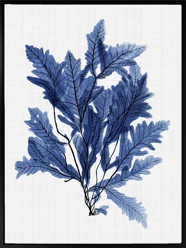 Aruba Sea Canvas Art Print