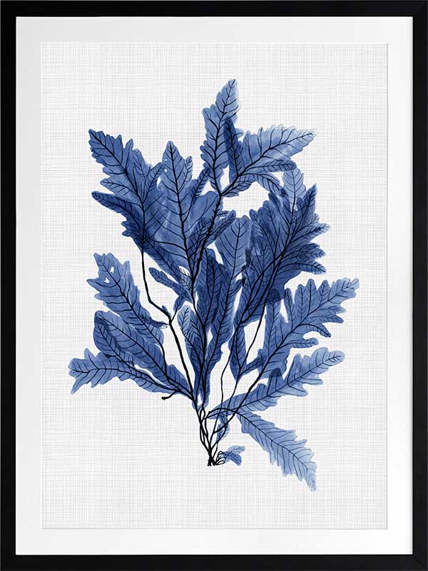 Aruba Sea Poster Framed Art Print