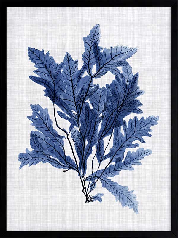 Aruba Sea Poster Framed Art Print