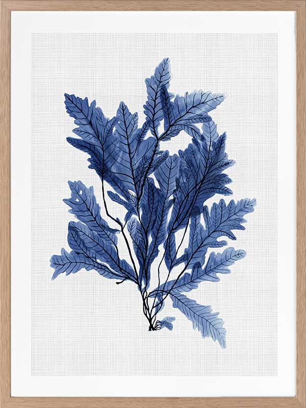 Aruba Sea Poster Framed Art Print