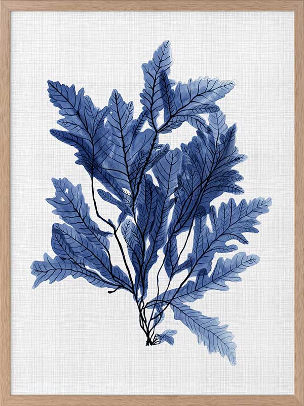 Aruba Sea Poster Framed Art Print