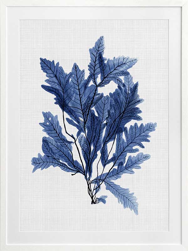 Aruba Sea Poster Framed Art Print