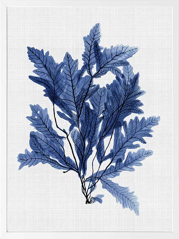 Aruba Sea Poster Framed Art Print