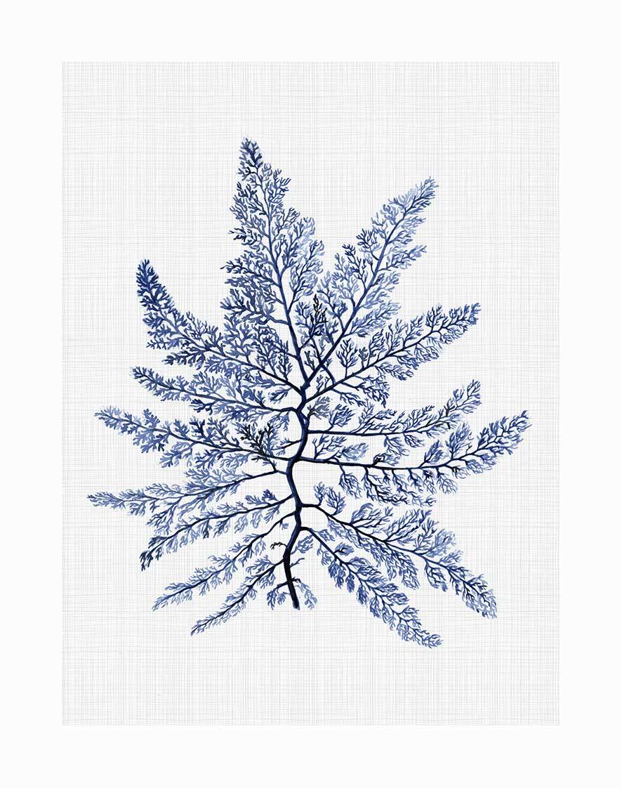 The Bermuda Sea Unframed Art Print by Urban Road features a detailed watercolor of blue seaweed or coral with intricate fronds, inspired by the Bermuda Sea, set against a light textured background.