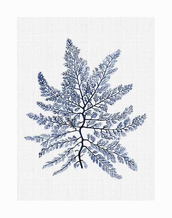 The Bermuda Sea Unframed Art Print by Urban Road features a detailed watercolor of blue seaweed or coral with intricate fronds, inspired by the Bermuda Sea, set against a light textured background.