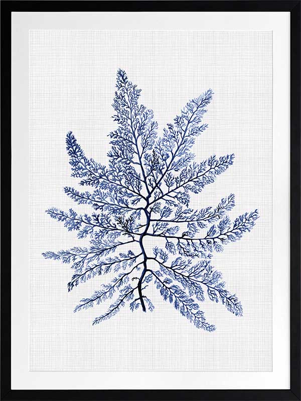 Bermuda Sea Poster Framed Art Print