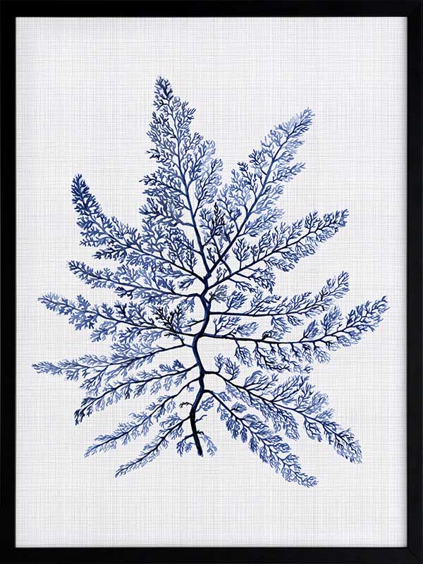 Bermuda Sea Poster Framed Art Print