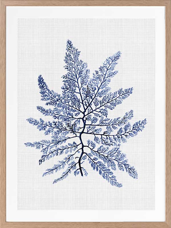 Bermuda Sea Poster Framed Art Print