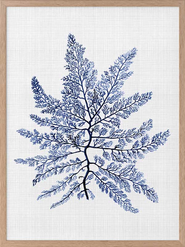 Bermuda Sea Poster Framed Art Print