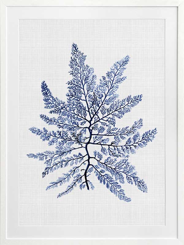 Bermuda Sea Poster Framed Art Print