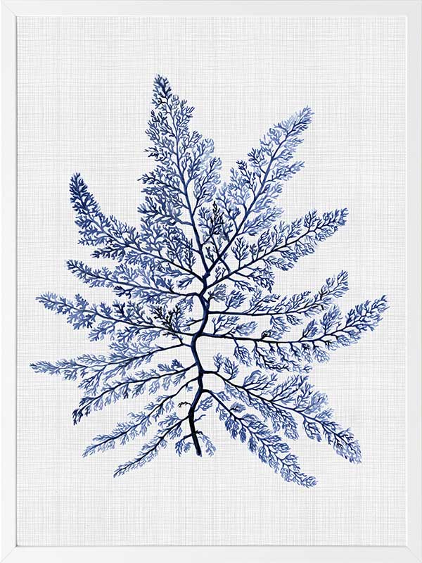 Bermuda Sea Poster Framed Art Print