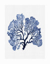 Urban Road’s Jamaica Sea Unframed Art Print features a watercolour blue sea fan with intricate branches, resembling a tree, set against a light textured background inspired by the Jamaica Sea.