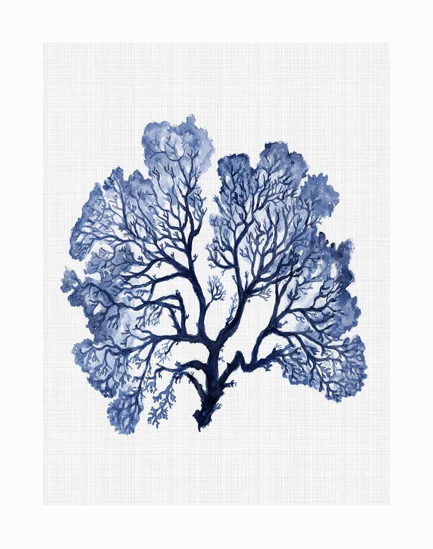 Urban Road’s Jamaica Sea Unframed Art Print features a watercolour blue sea fan with intricate branches, resembling a tree, set against a light textured background inspired by the Jamaica Sea.