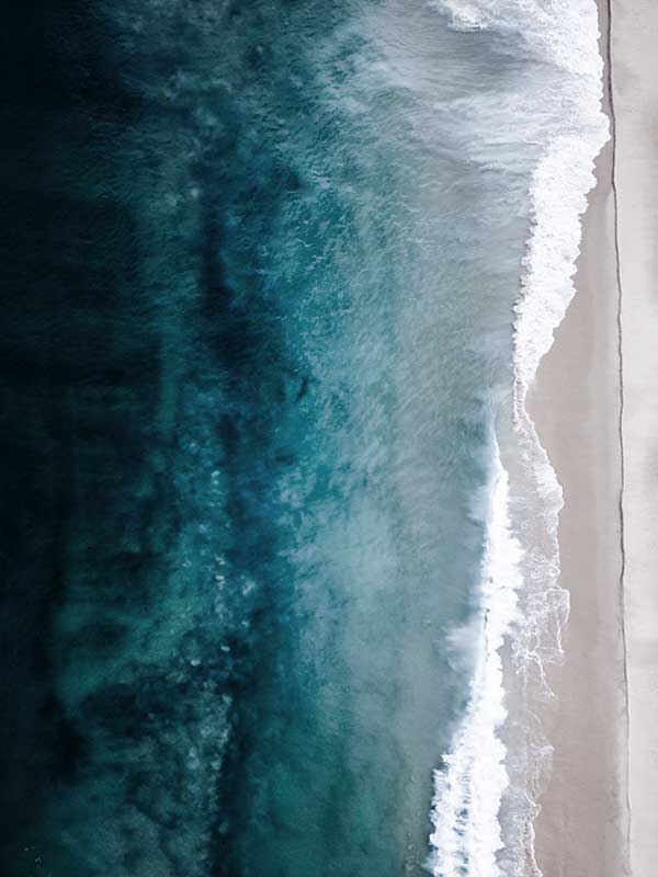 Beyond the Sea Canvas Art Print