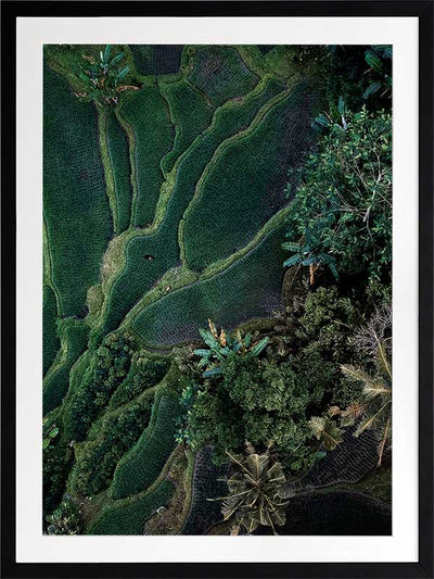 Tranquility Poster Framed Art Print