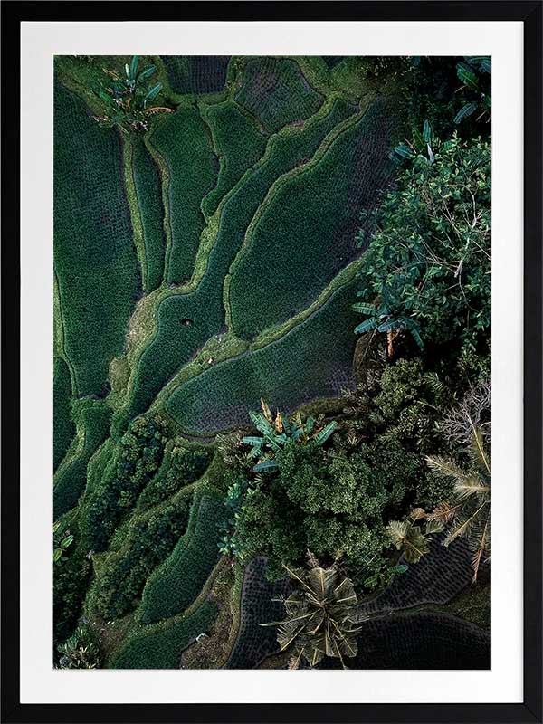 Tranquility Poster Framed Art Print