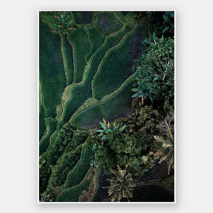 Tranquility Unframed Art Print