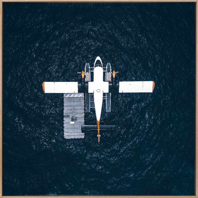 Spruce Goose Canvas Art Print