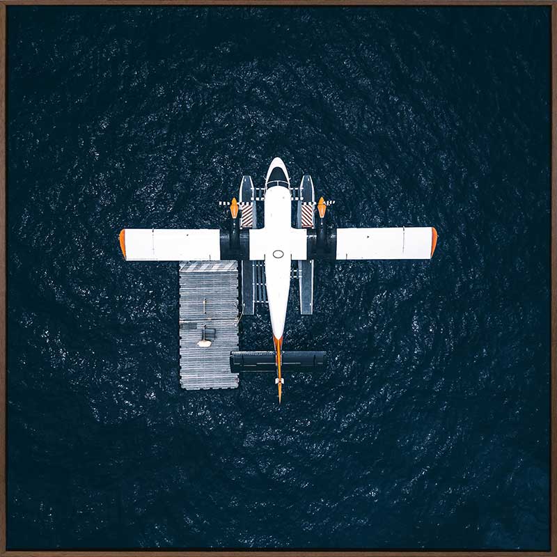 Spruce Goose Canvas Art Print