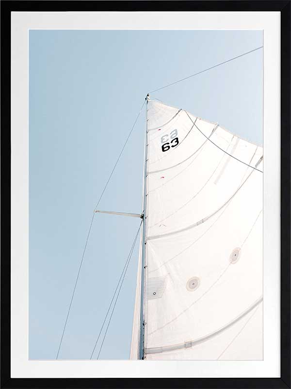 Set Sail Poster Framed Art Print