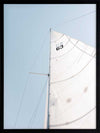 Set Sail Poster Framed Art Print