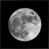 Full Moon Canvas Art Print