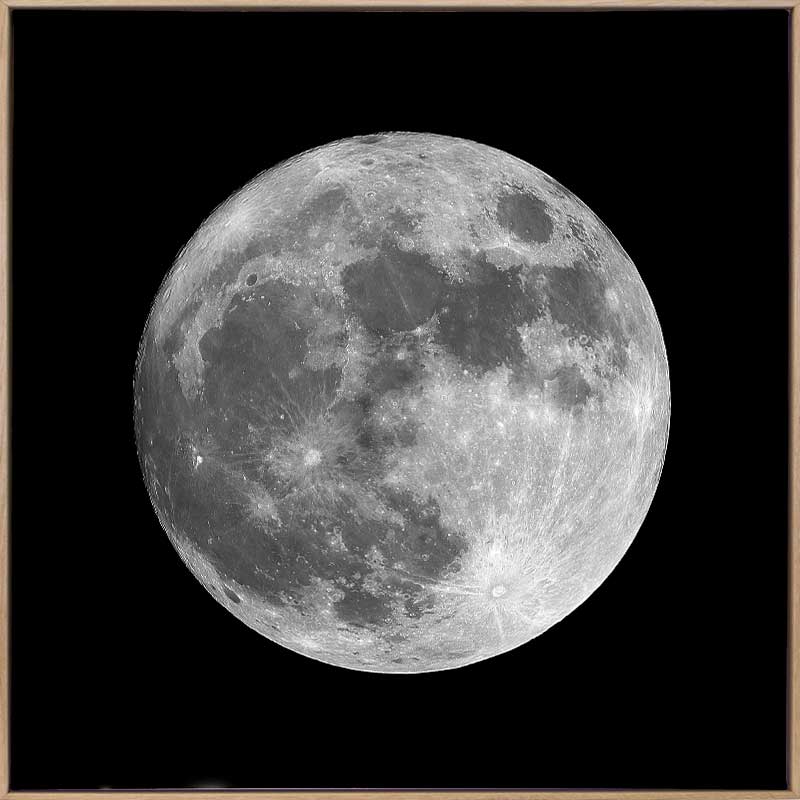Full Moon Canvas Art Print