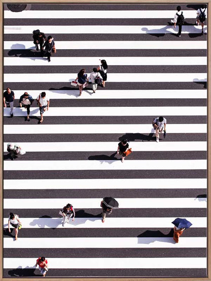 Pedestrian Canvas Art Print