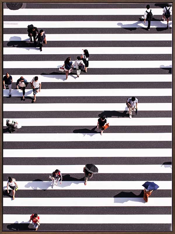 Pedestrian Canvas Art Print