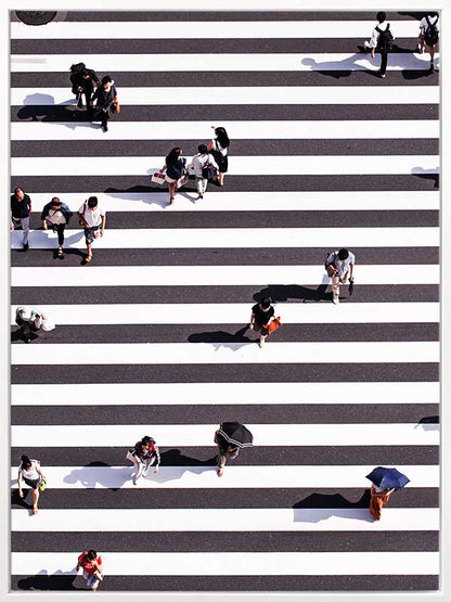 Pedestrian Canvas Art Print