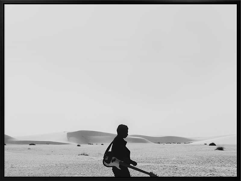 The Boss Canvas Art Print