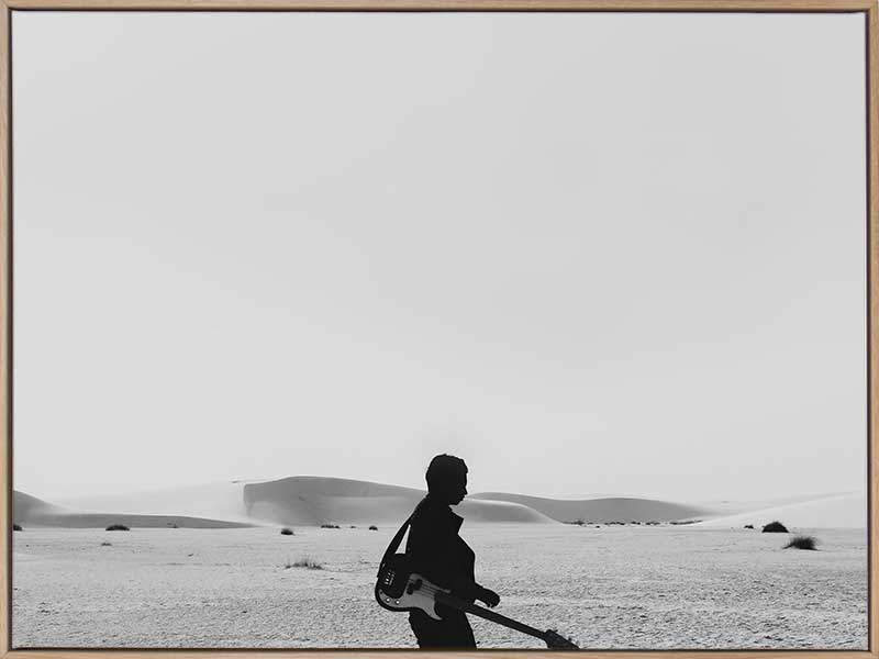 The Boss Canvas Art Print