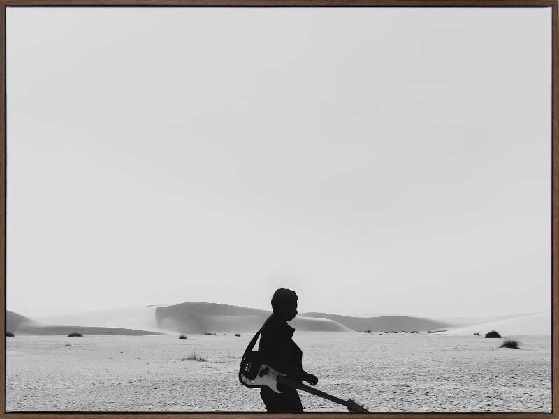 The Boss Canvas Art Print