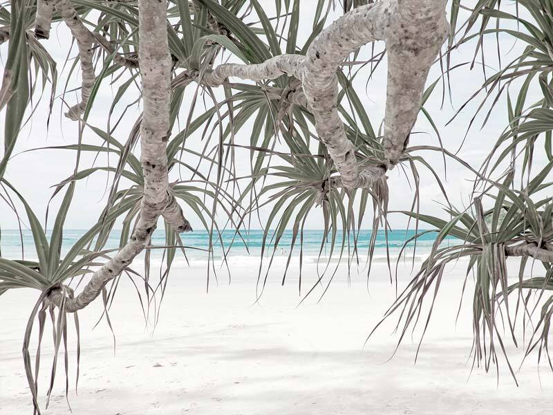 The Pandanus II Unframed Art Print by Urban Road features pandanus trees with spiky leaves framing a white sandy beach and calm blue ocean beneath a partly cloudy sky.