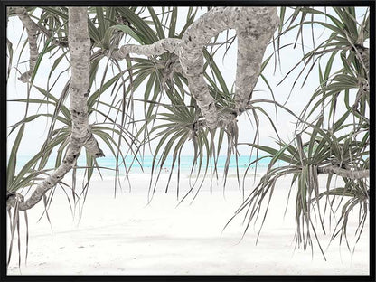 Pandanus II Canvas Art Print