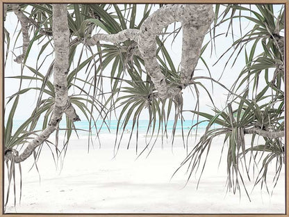 Pandanus II Canvas Art Print