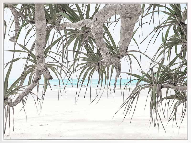 Pandanus II Canvas Art Print