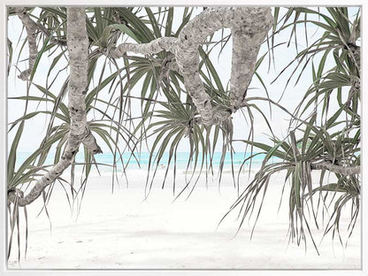 Pandanus II Canvas Art Print