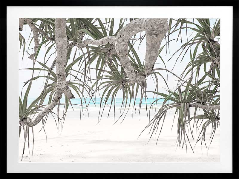 Pandanus II Poster Framed Art Print