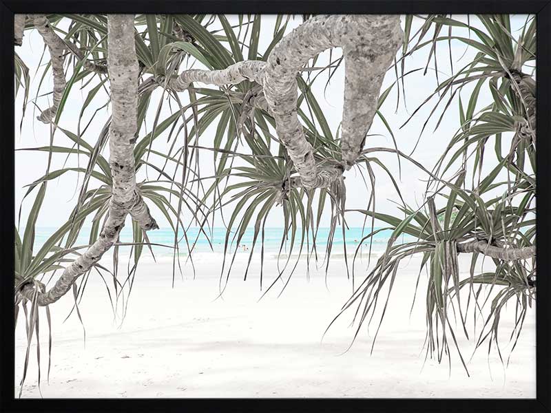 Pandanus II Poster Framed Art Print