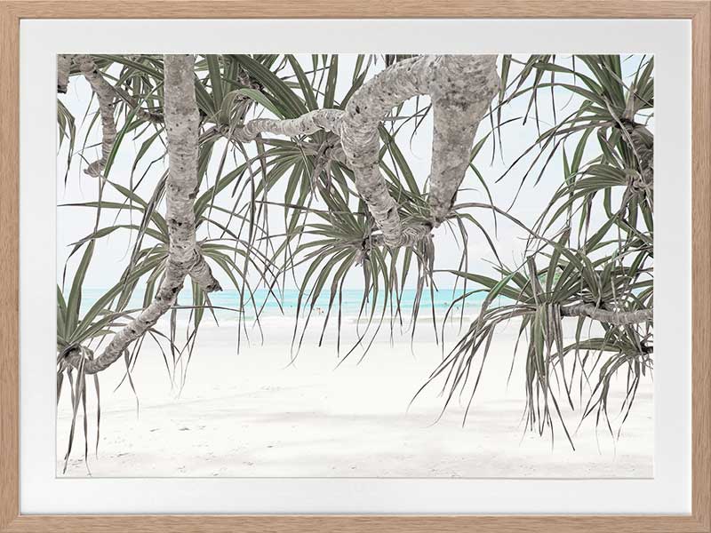 Pandanus II Poster Framed Art Print
