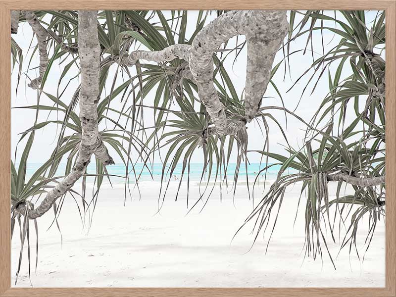Pandanus II Poster Framed Art Print