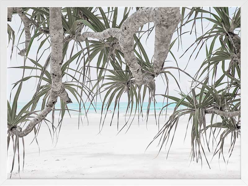 Pandanus II Poster Framed Art Print