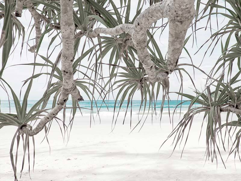The Pandanus II Unframed Art Print by Urban Road depicts curved Pandanus trees with slender leaves bordering a peaceful sandy beach, gentle blue waves, and a pale sky—a stunning scene of coastal tranquility.