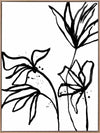 Ink Flowers II Canvas Art Print