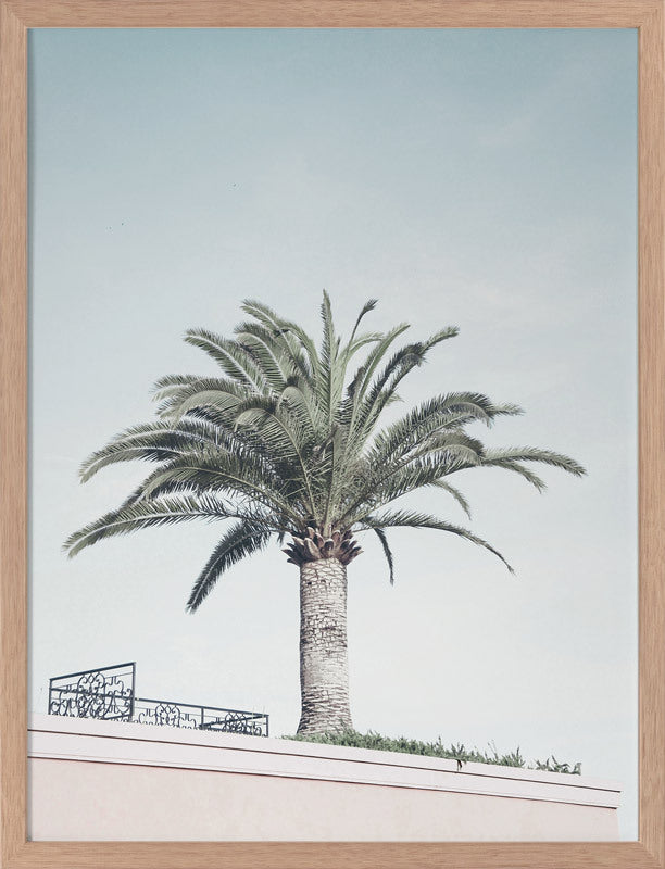 Venice Beach Poster