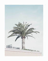 The Venice Beach Unframed Art Print by Urban Road features a tall palm tree against a pale blue sky above a beige building with a black railing and green rooftop plants—a striking photographic image.