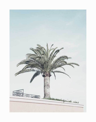 The Venice Beach Unframed Art Print by Urban Road features a tall palm tree against a pale blue sky above a beige building with a black railing and green rooftop plants—a striking photographic image.